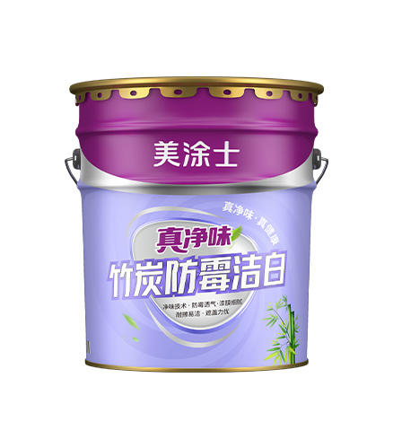真凈味竹炭防霉?jié)嵃讐γ嫫?>
						</div>
						<div   id=